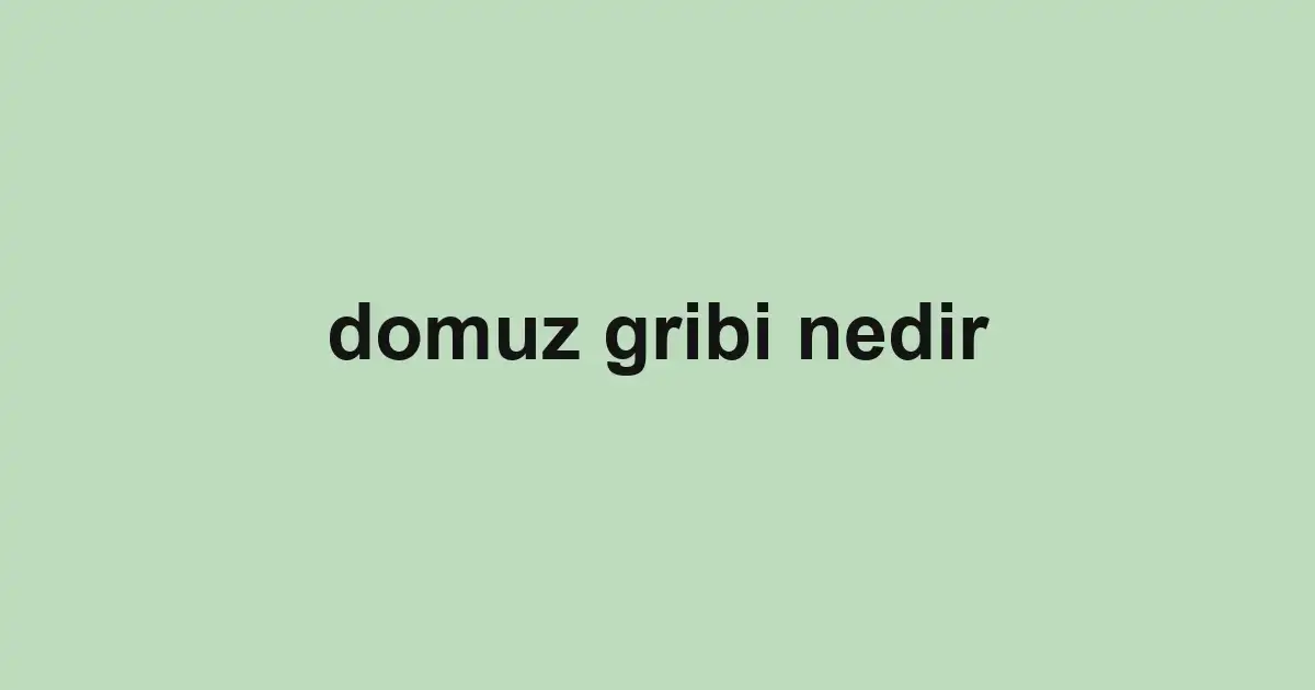 domuz gribi nedir