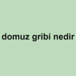 domuz gribi nedir
