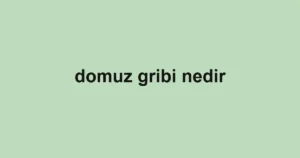 domuz gribi nedir